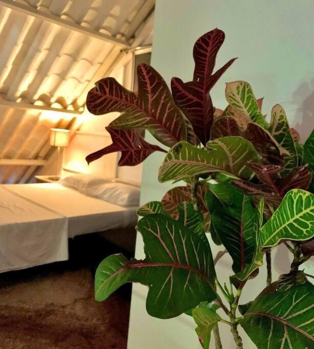 Covenitas Cabana Mar, Amplia Con Piscina Tipo Playa, Maximo 34 Personas ميلغار المظهر الخارجي الصورة